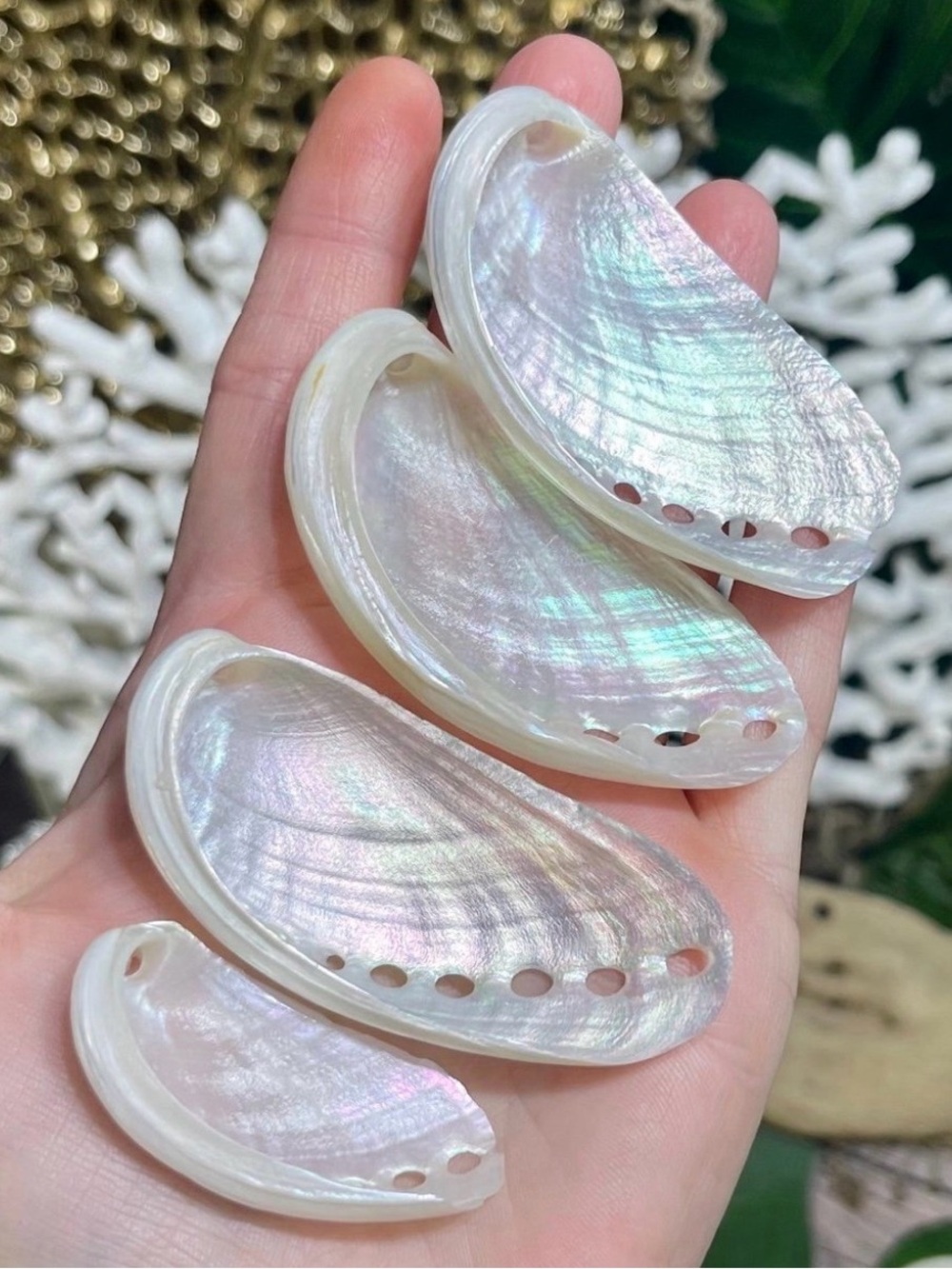 Pearlized Iridescent White Abalone Shell DIY Crafting Jewelry Making Ornaments